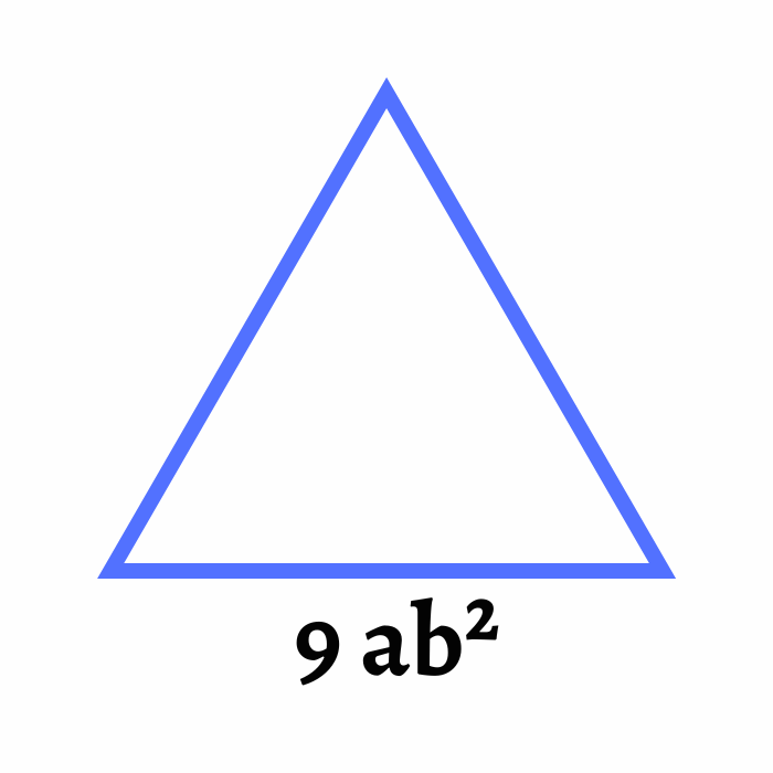 Perímetro álgebra monomio Ejercicio 4-min