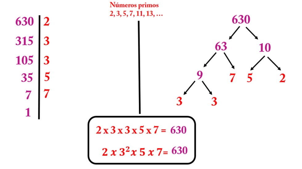 Descomponer un Número en Factores Primos Math logic